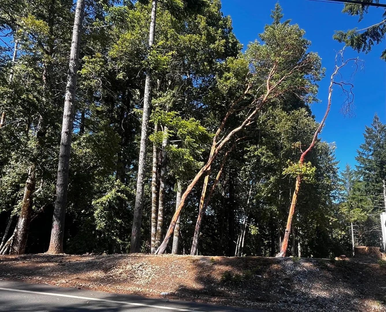 Lots & Land-Other in Willits - Willits, California, 95490