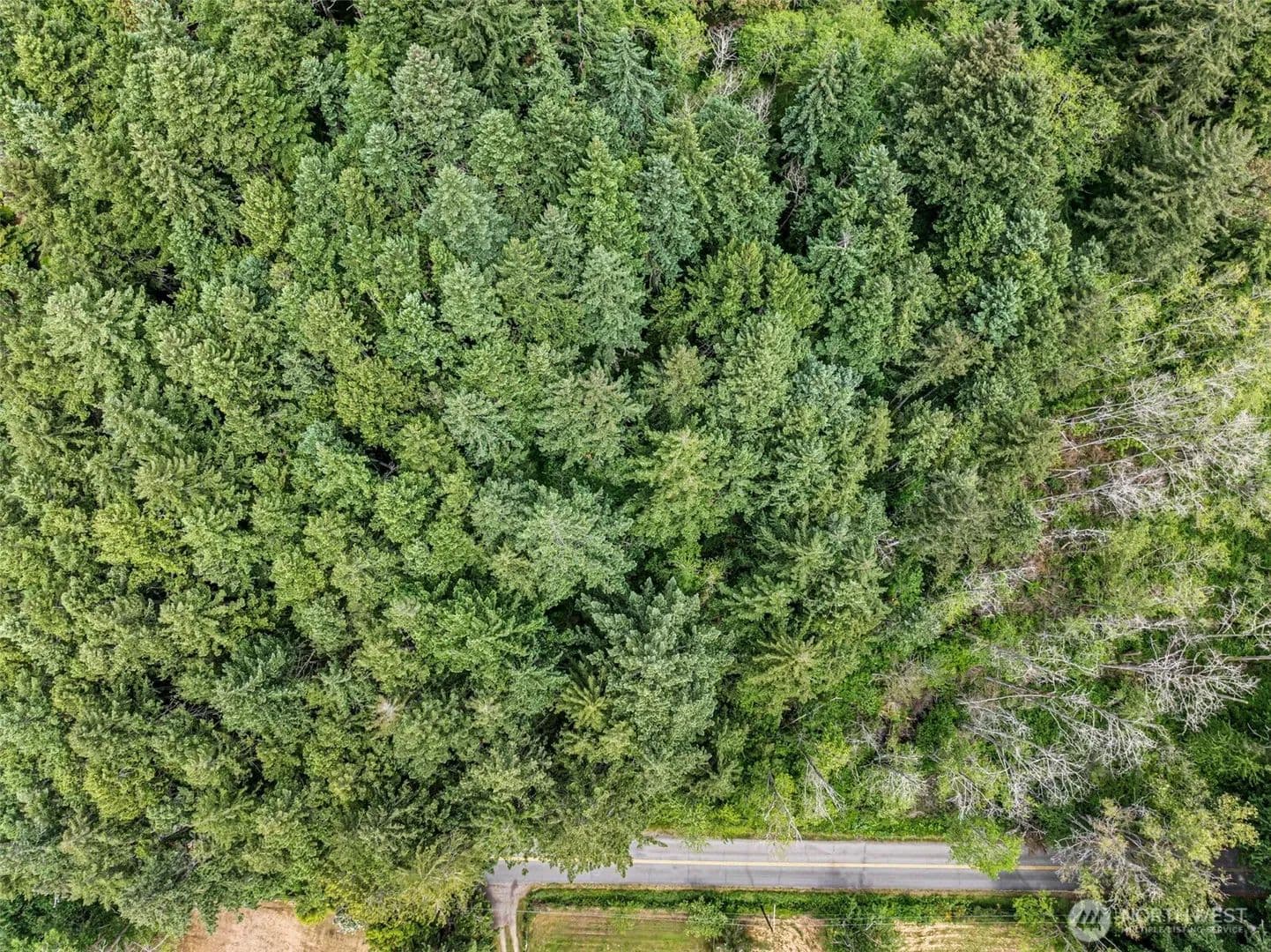 4.71 Acres of Land for Sale in Bainbridge Island, WA - Bainbridge Island, Washington, 98110