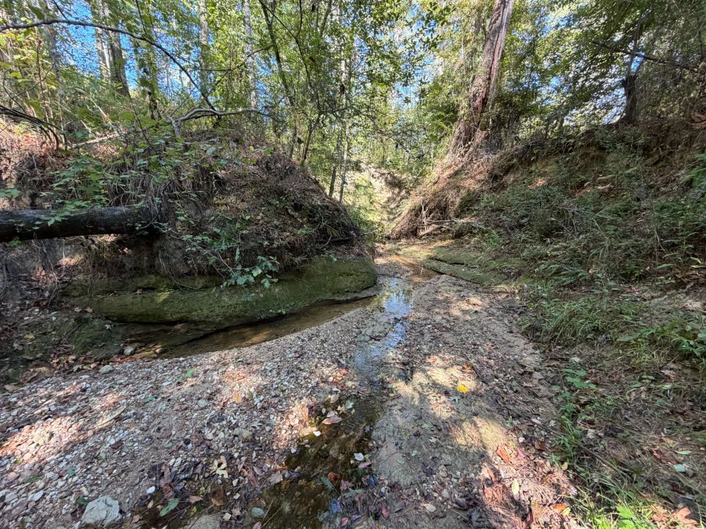 43 Acres in Lincoln County, MS - Brookhaven, Mississippi, 39601