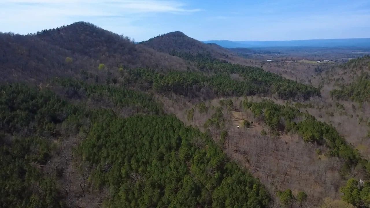 Vacant Land (10+ Acres) in Mena - Mena, Arkansas, 71953