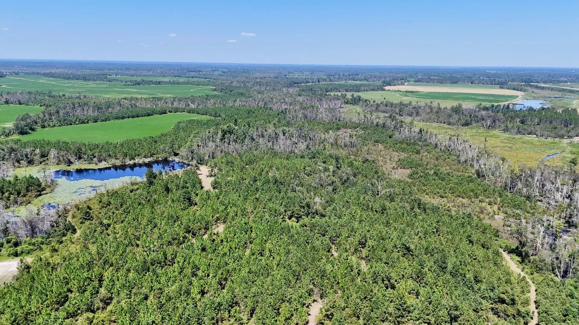 371 Acres of Land for Sale in Hazlehurst, GA - Hazlehurst, Georgia, 31539