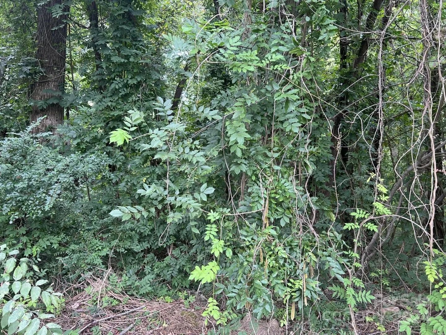 Lots & Land-Other in New London - New London, North Carolina, 28127