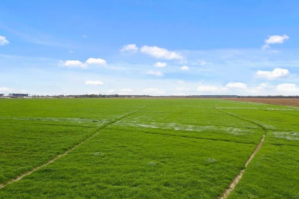 Lots & Land-Other in Iowa - Iowa, Louisiana, 70647