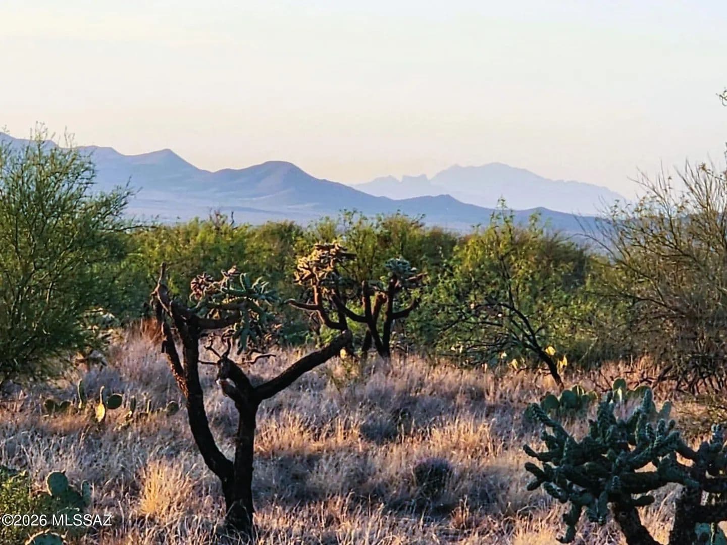 Vacant Land in Tucson - Tucson, Arizona, 85736