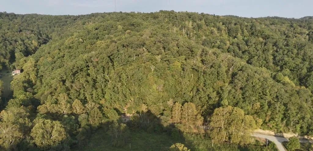 Lots & Land-Other in Webbville - Webbville, Kentucky, 41180