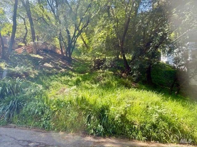 Vacant Land in Fairfax - Fairfax, California, 94930