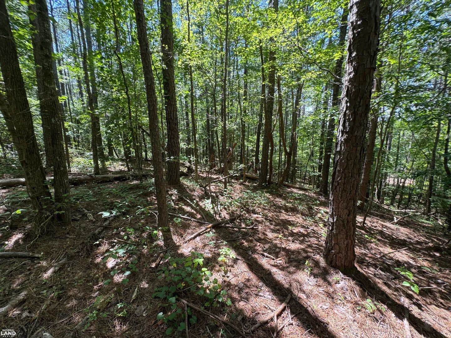 7 Acres Next to Highway 145 - Clanton, Alabama, 35046