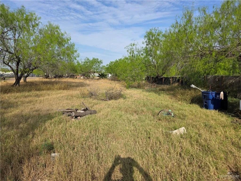 Redevelopment Land in Palmview - Palmview, Texas, 78572
