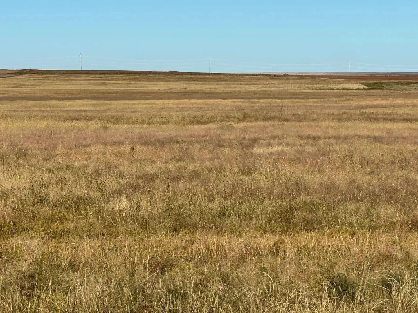 Cheyenne County Dryland #26051.1 - Cheyenne Wells, Colorado