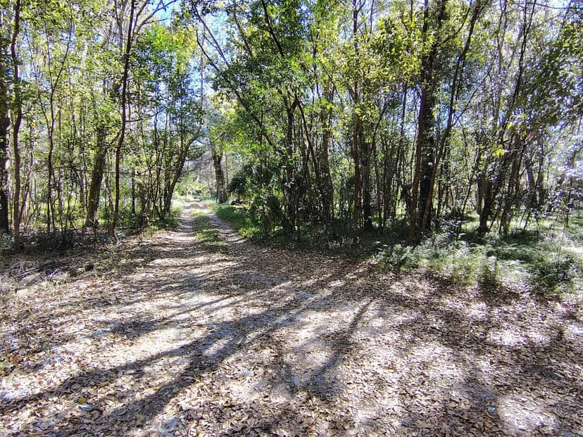 5.5+/- Acre Prime Rural Homesite - Parcel 1