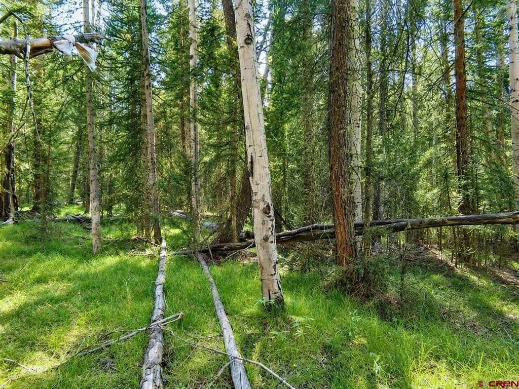1 Acre of Land for Sale in Cimarron, CO - Cimarron, Colorado, 81220