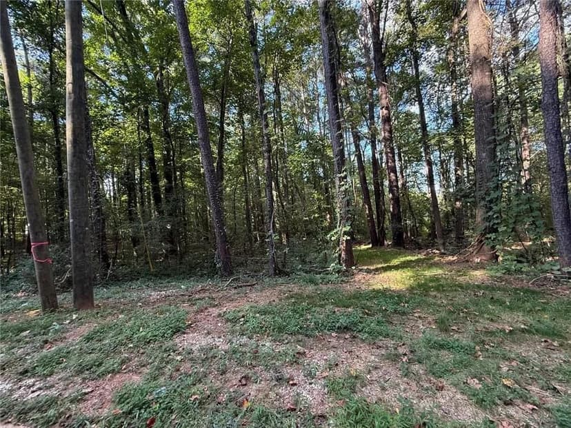 Vacant Land in Stone Mountain