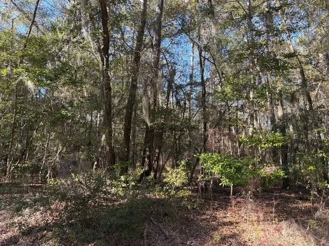 Lots & Land-Other in Midway