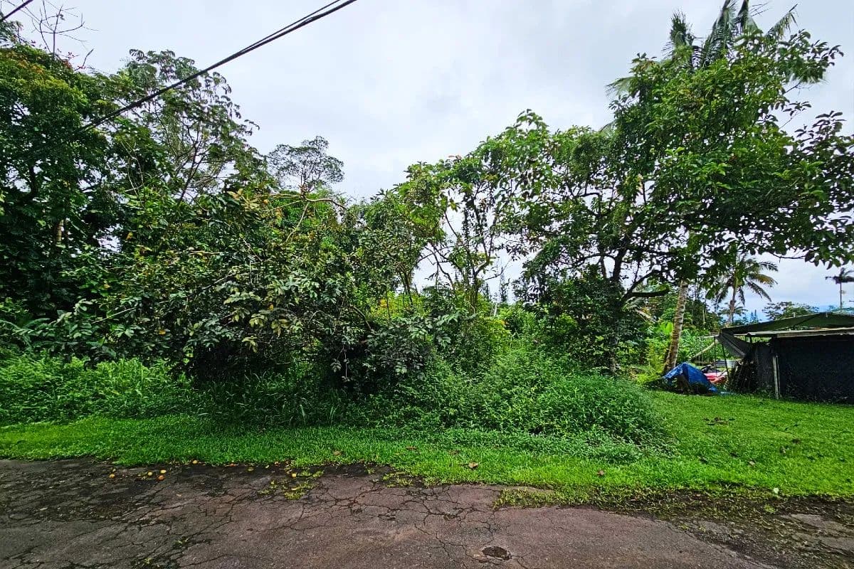 Vacant Land in Pahoa - Pahoa, Hawaii, 96778