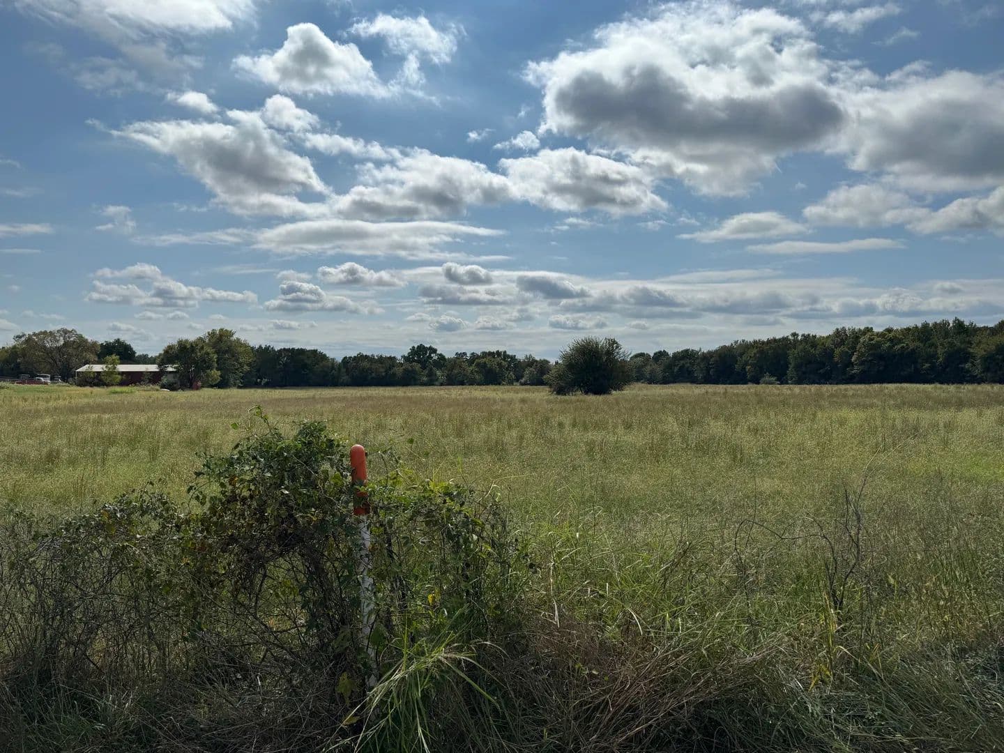 Land -Agricultural (Not Zoned) in Coal Hill - Coal Hill, Arkansas, 72832