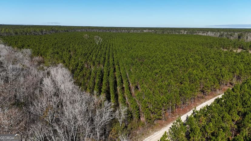 Property from 29 AC Owens Road - KW