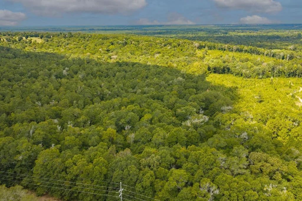Lots & Land-Other in Newton - Newton, Alabama, 36352