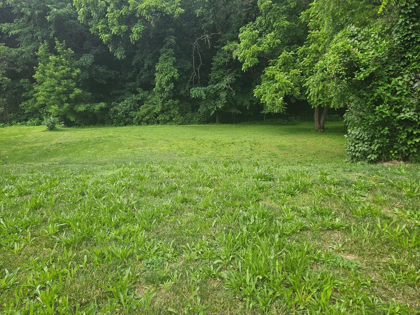 Land -Single Family Acreage in Hannibal - Hannibal, Missouri, 63401