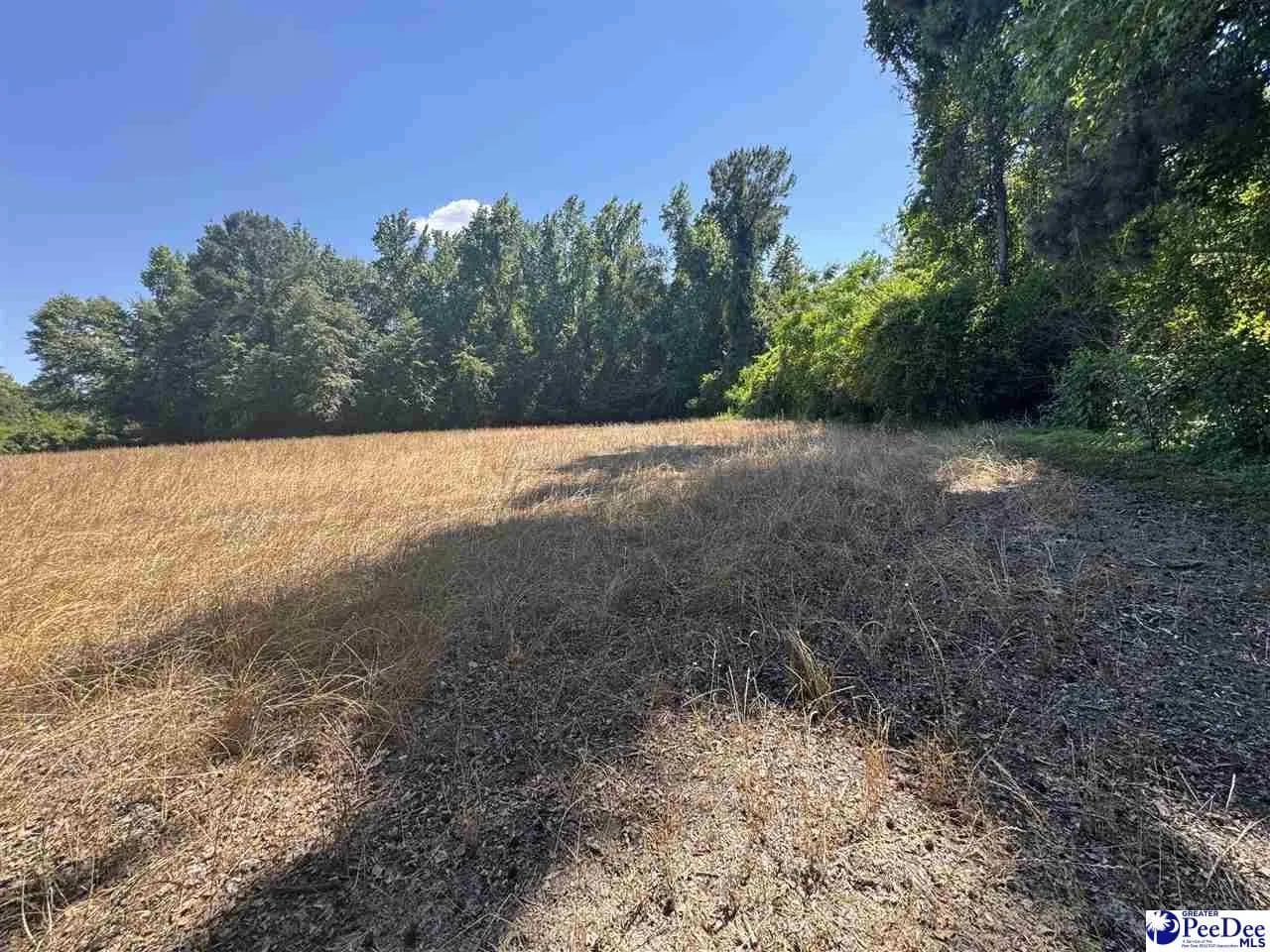10.74 Acres of Land for Sale in Nichols, South Carolina - Nichols, South Carolina, 29581