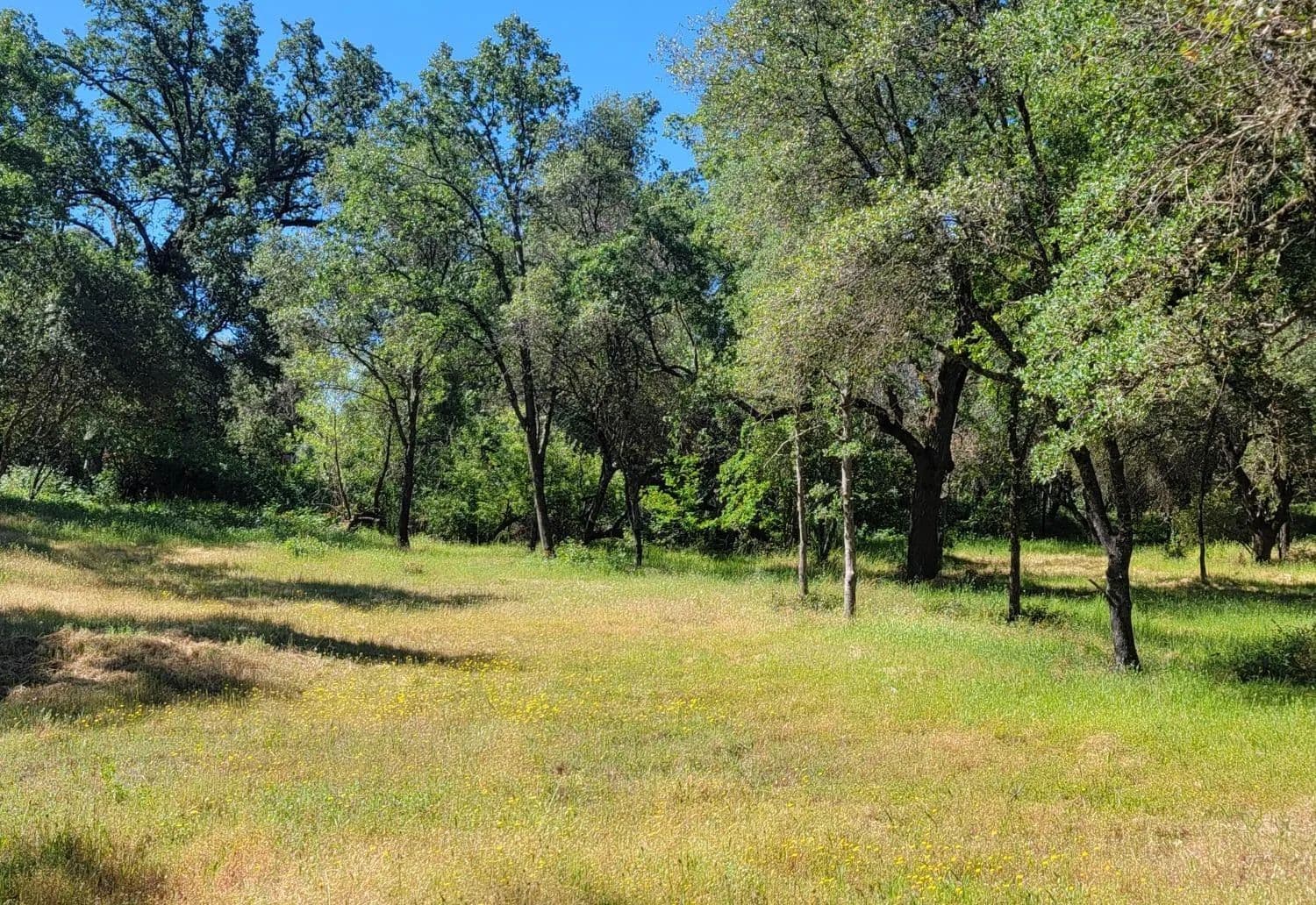 Property from 3 Angel Lane #Acres - KW - Placerville, California, 95667