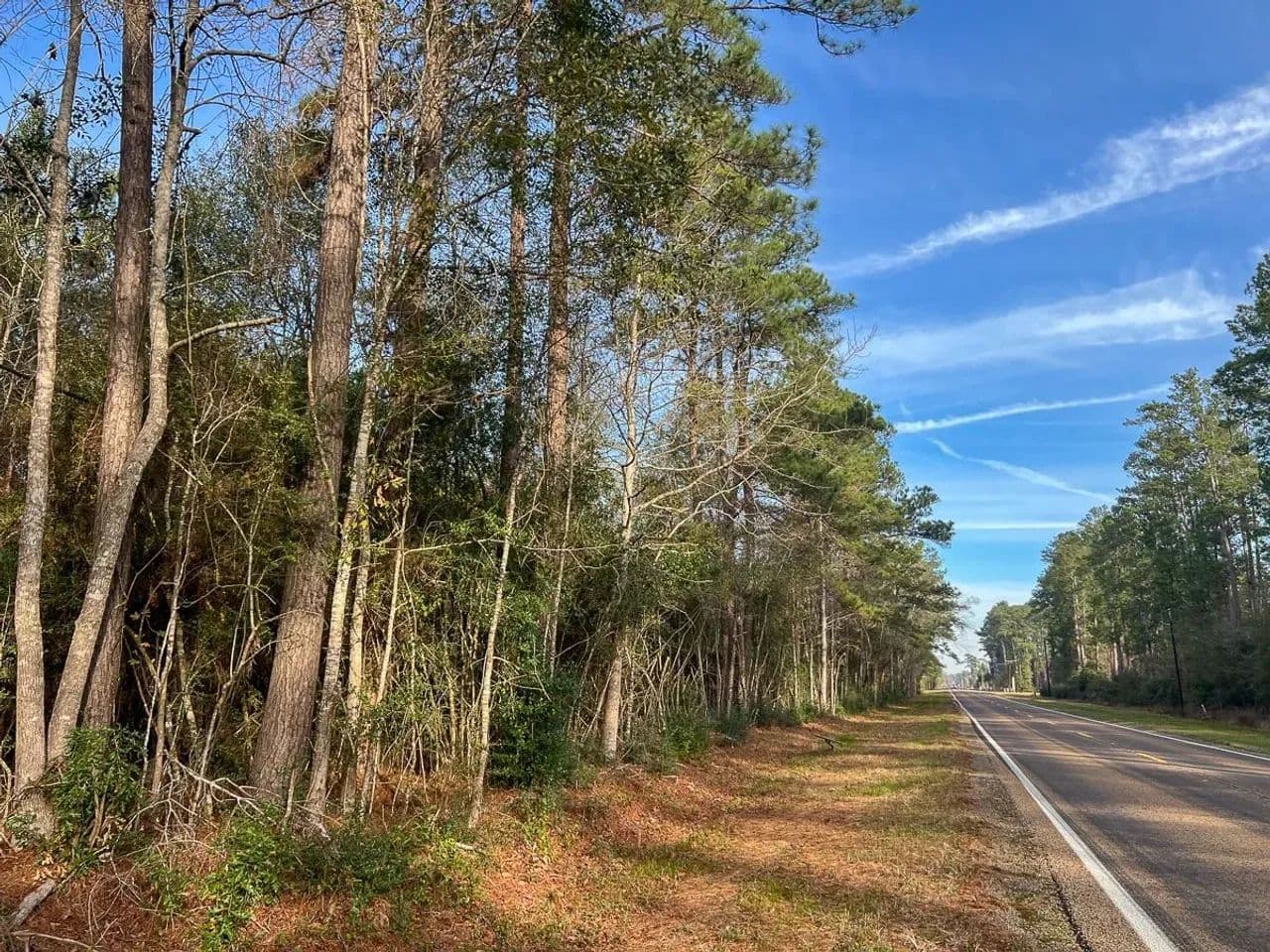 15 Acres | T-10 | FM 787 | 00043 - Saratoga, Texas, 77585