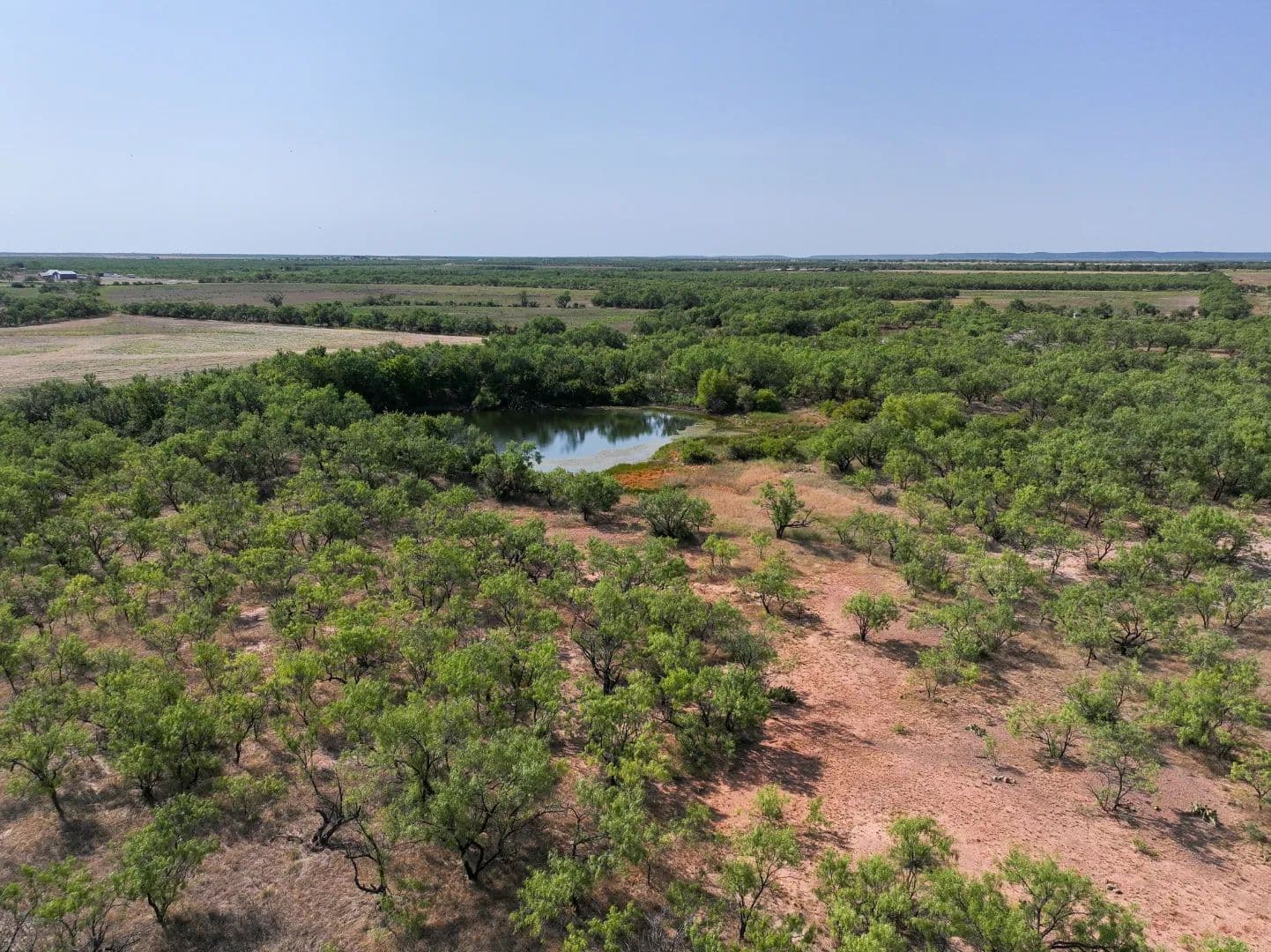 54.55 Acres, TBD Potosi Road, Abilene - Abilene, Texas, 79602