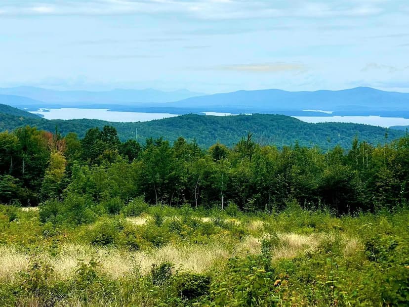 Vacant Land in Gilford