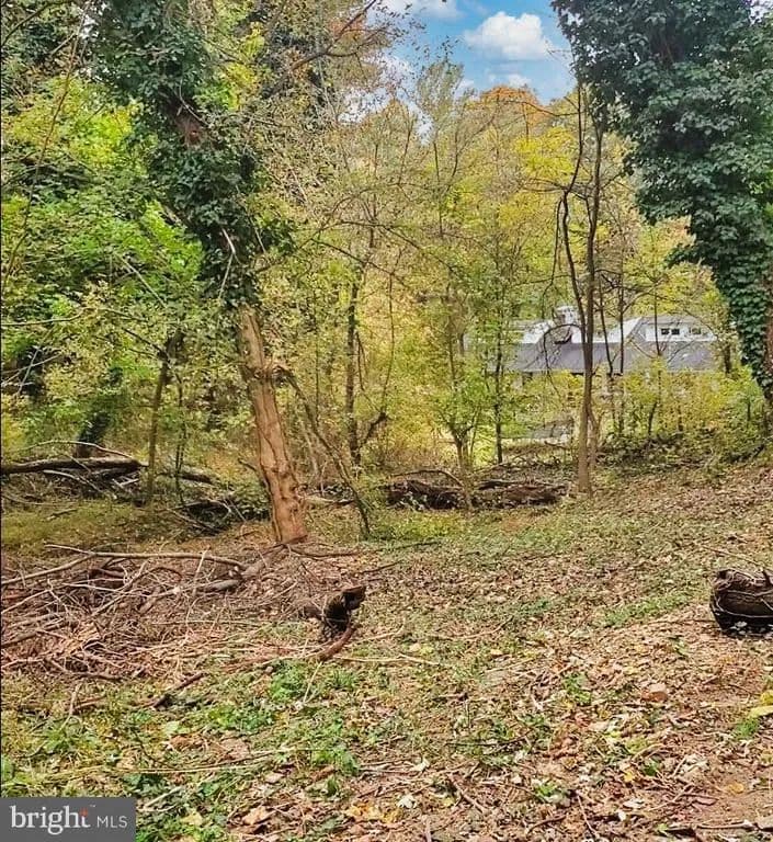 0.5 Acres of Land for Sale in BRUNSWICK, MD - Brunswick, Maryland, 21716