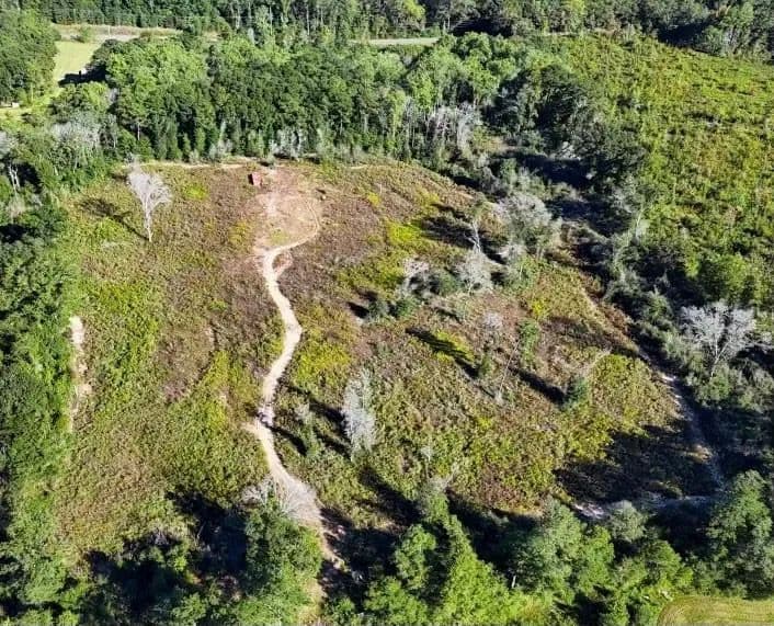 Property from 3518 Elamville St - KW