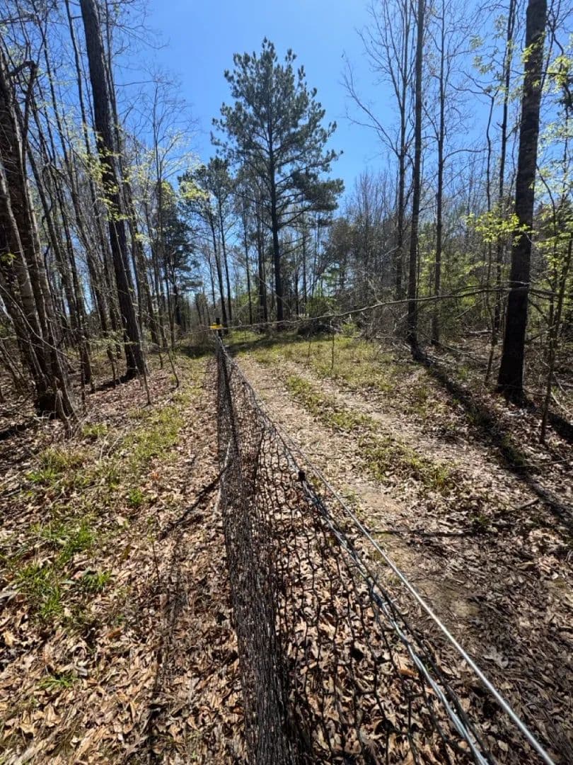 56 Acres in Simpson County, MS