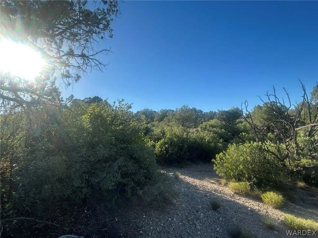 7.46 Acres of Land for Sale in Kingman, AZ - Kingman, Arizona, 86401