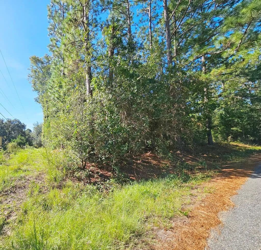 Vacant Land in Albany - Albany, Georgia, 31705