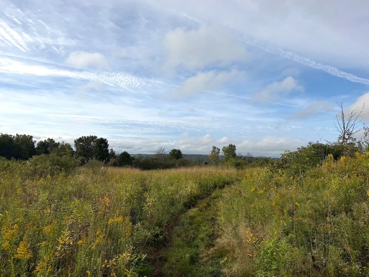 13 acres Hunting Land and Building Site with Valley Views in South Dayton NY Ball Hill Rd - South Dayton, New York, 14138