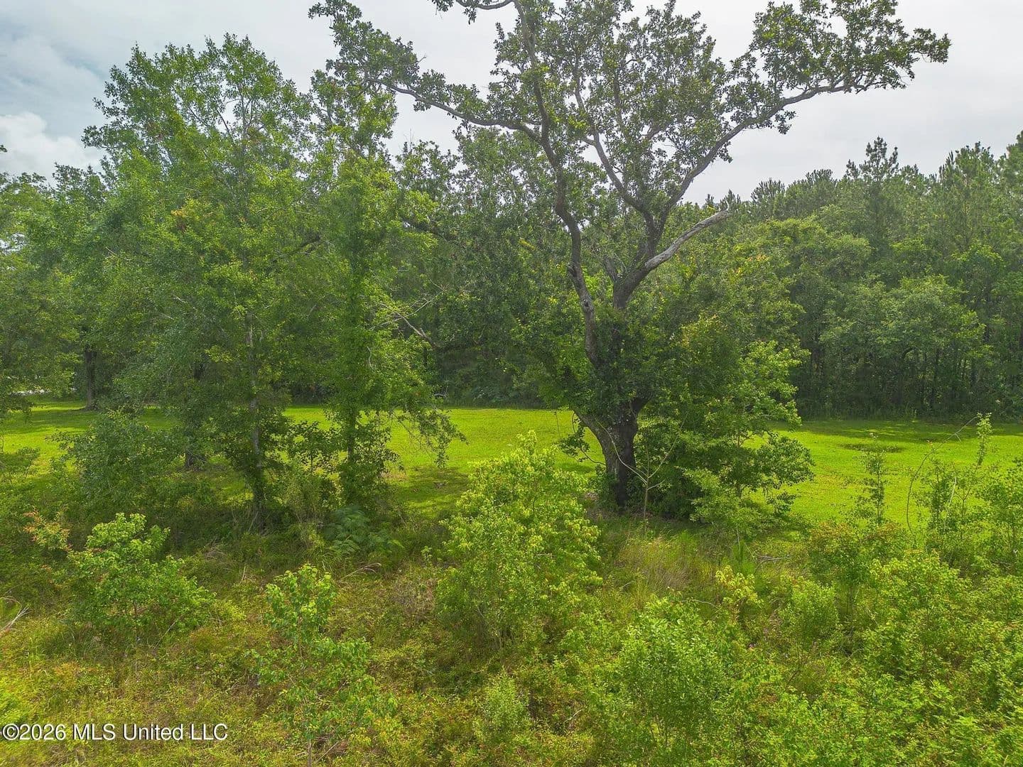 Property from Oliver Street - KW - Bay Saint Louis, Mississippi, 39520