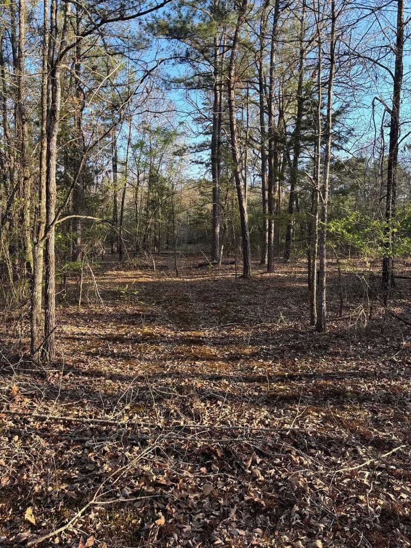 Hunting & Recreation 36 Acres – Borders WMA, Near Pine Creek Lake