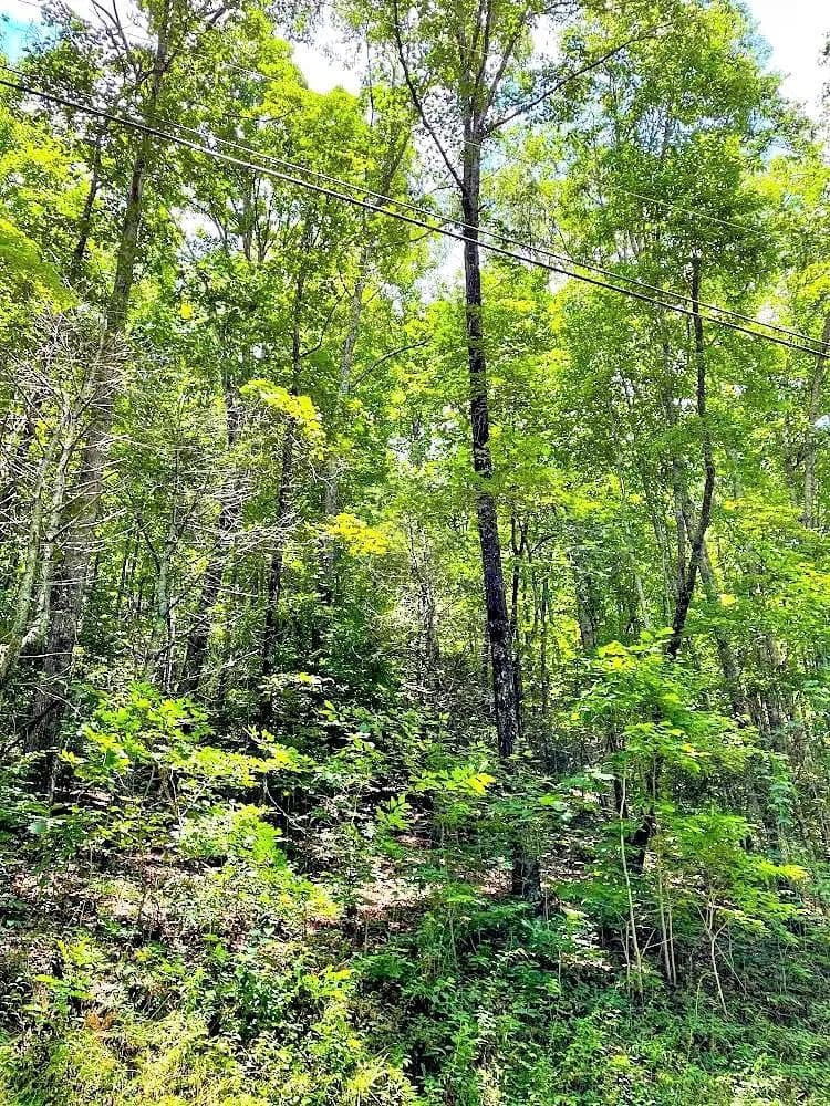 Rabun Co. Mountain Land with Views