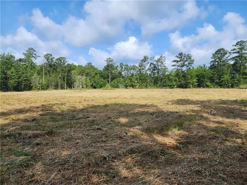 Property from 29208 N HORSESHOE Road - KW