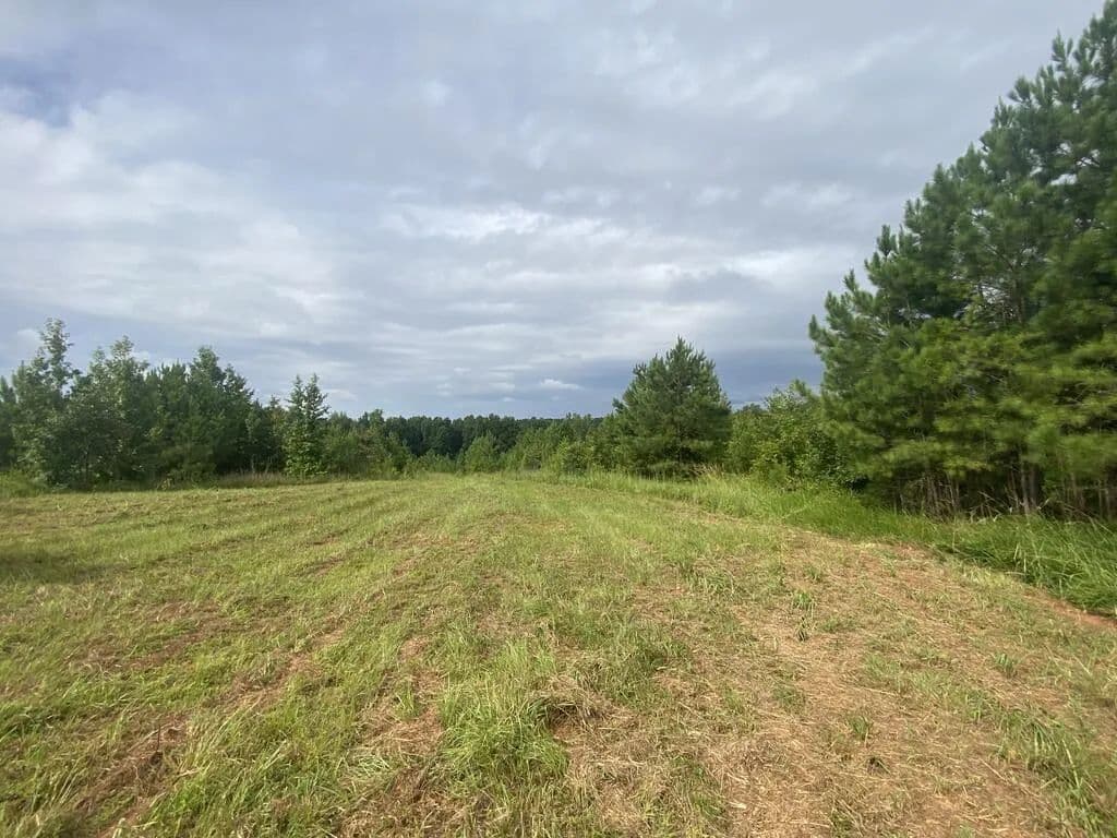 Vacant Land in Shiloh - Shiloh, Georgia, 31826