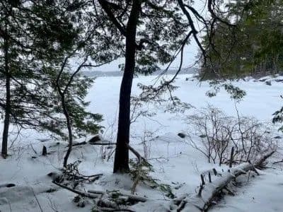 Rare Available Waterfront on Long Pond in Wildewood Estates