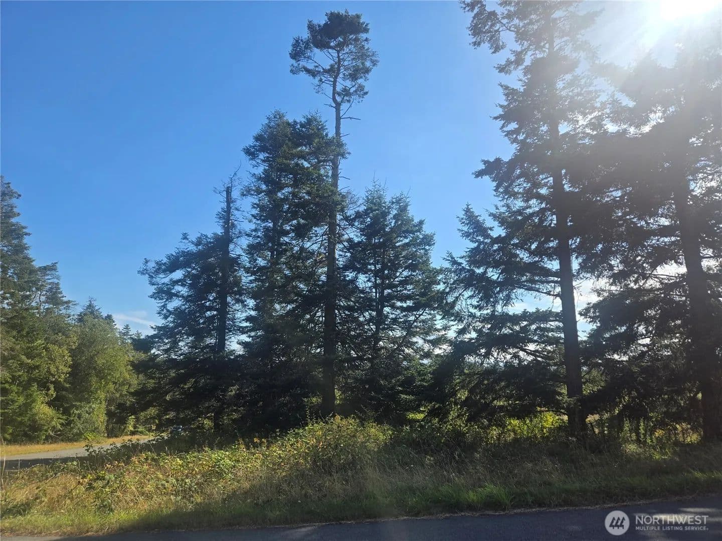 Vacant Land in Coupeville - Coupeville, Washington, 98239