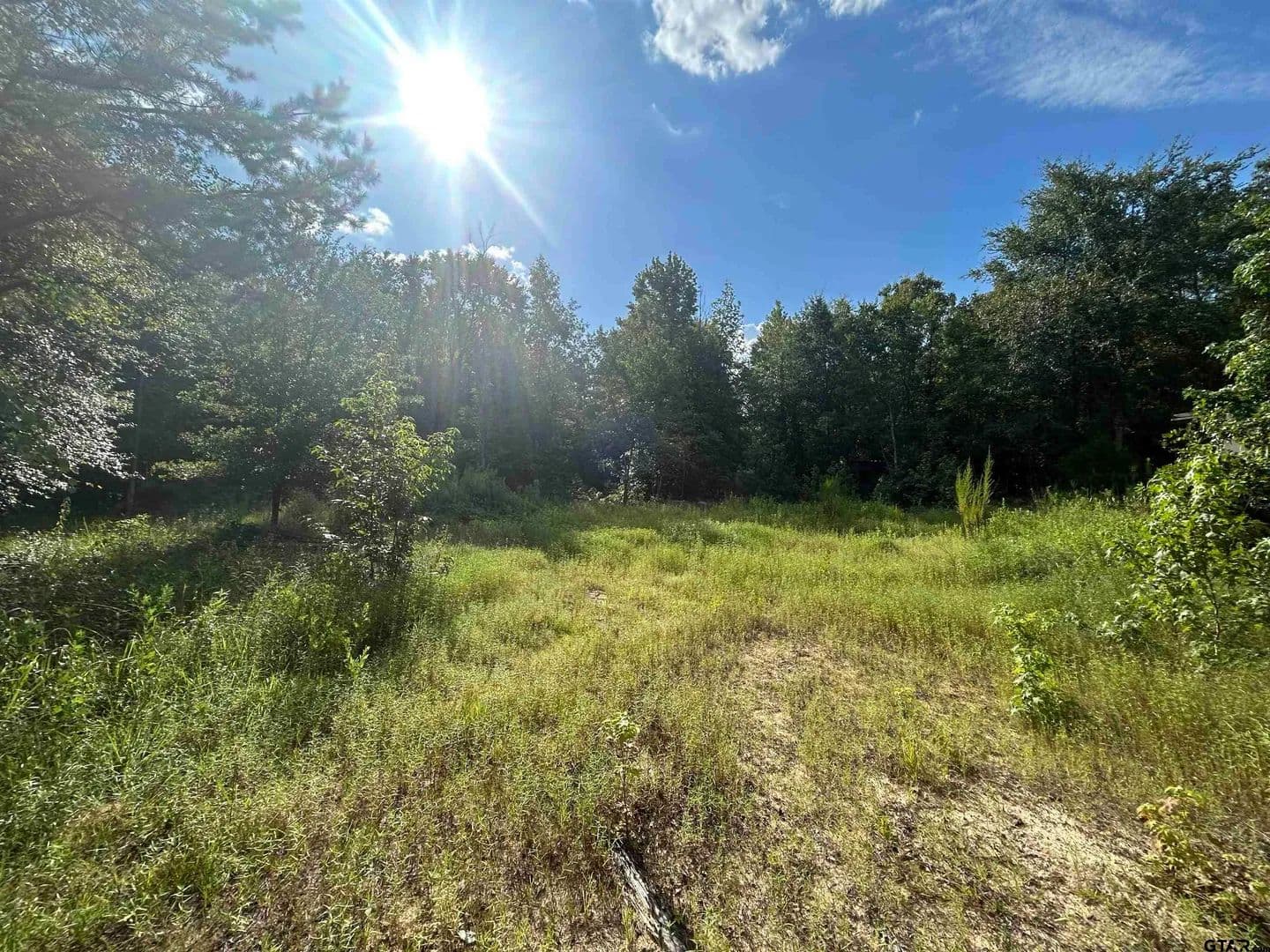 Vacant Land in Hallsville - Hallsville, Texas, 75650