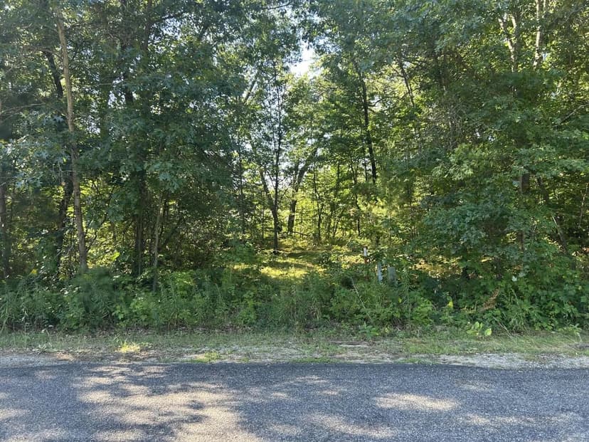 Lots & Land-Other in Houghton Lake