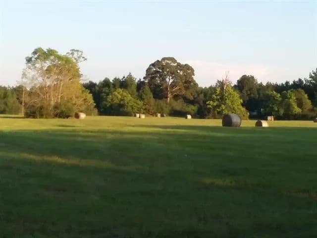 Lots & Land-Other in Warren - Warren, Texas, 77664