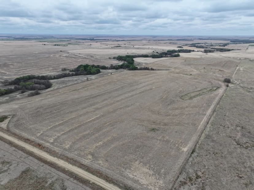 Online Auction | 119+/- Acres in Norton County, KS