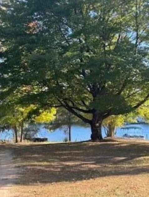 Property from 7021 Southwest Drive - KW - Stanwood, Michigan, 49346