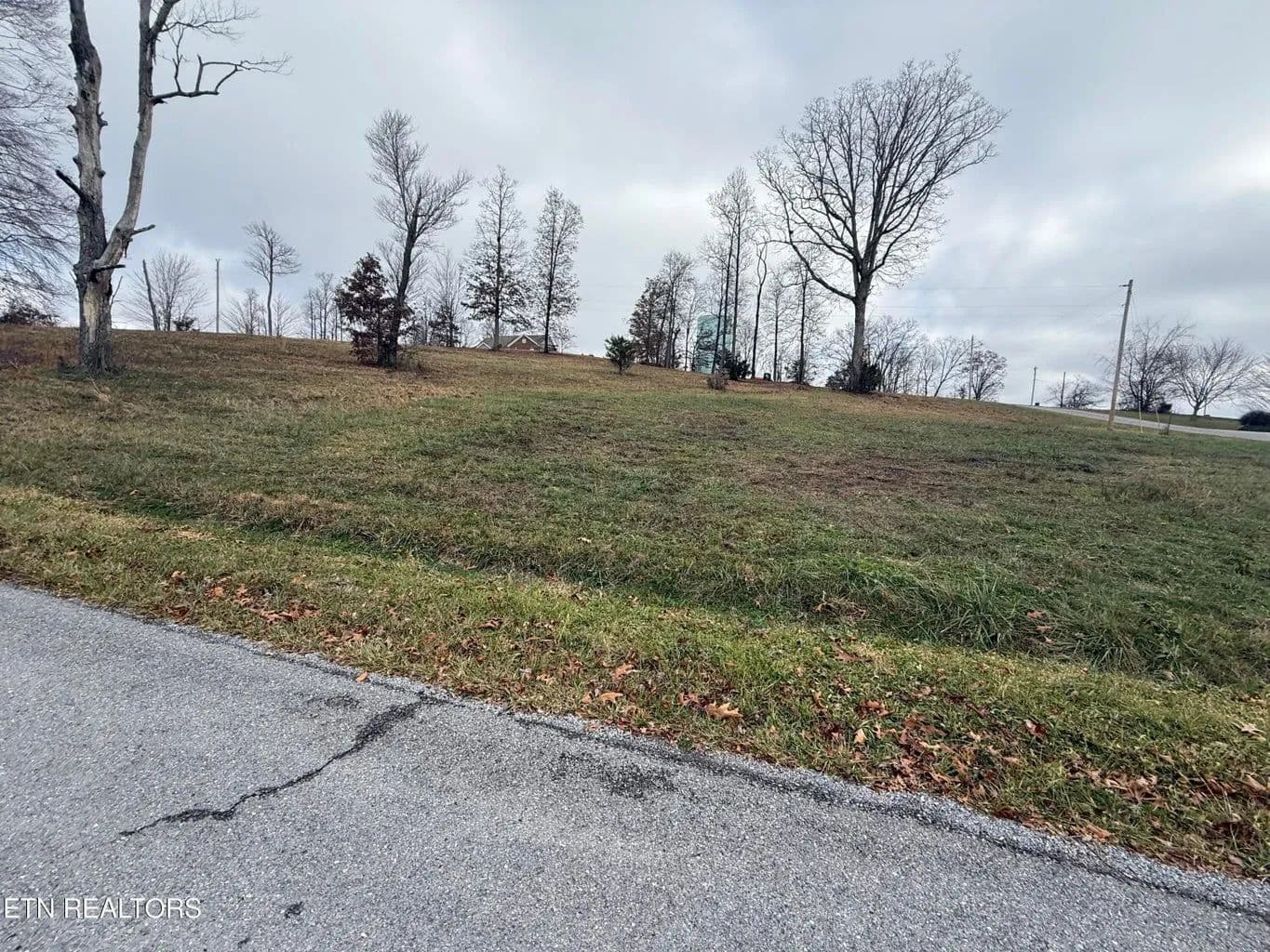 Land -Single Family Acreage in Jonesville - Jonesville, Virginia, 24263
