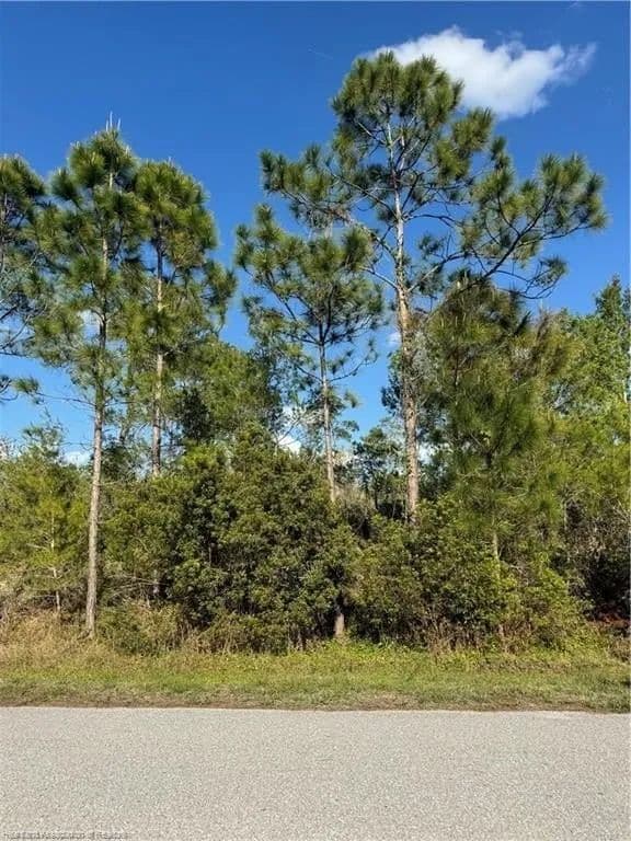Lots & Land-Other in Lake Placid - Lake Placid, Florida, 33852
