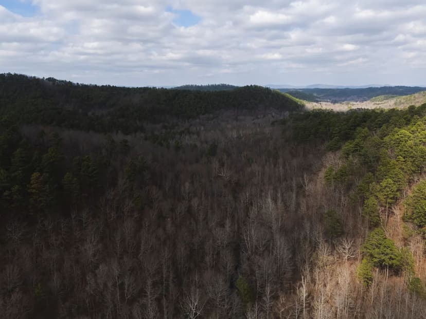 194 Acres in Polk County, AR