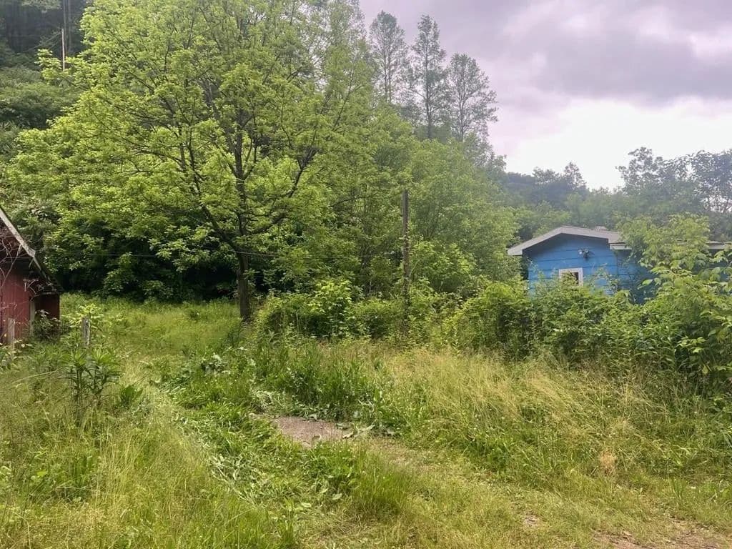 Lots & Land-Other in Dana - land for sale