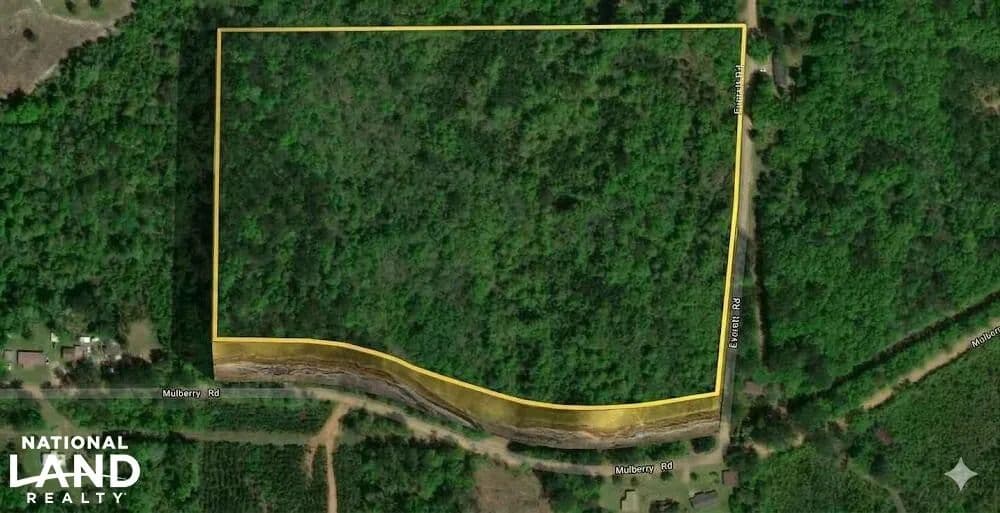 Mulberry Road Corner Acreage - Brantley, Alabama, 36009